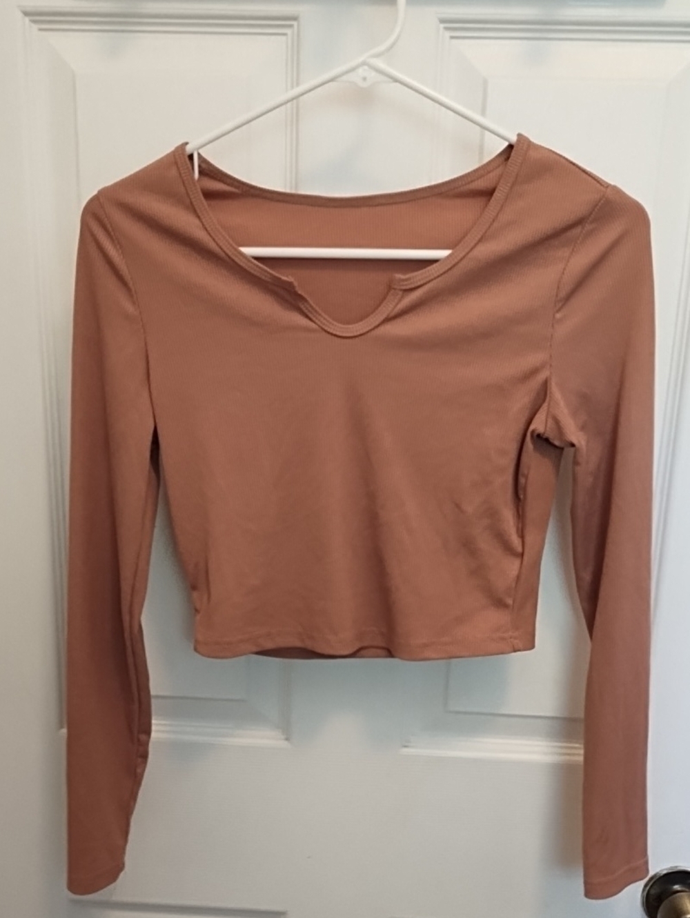 Women’s Long Sleeve Cropped Top in Dusty Rose (S)